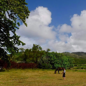 Meet your Posher, Juliana